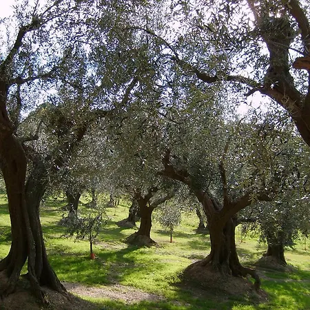 Agriturismo Da Carignano Carignano (Marche)