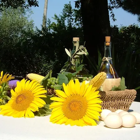 Agriturismo Da Carignano